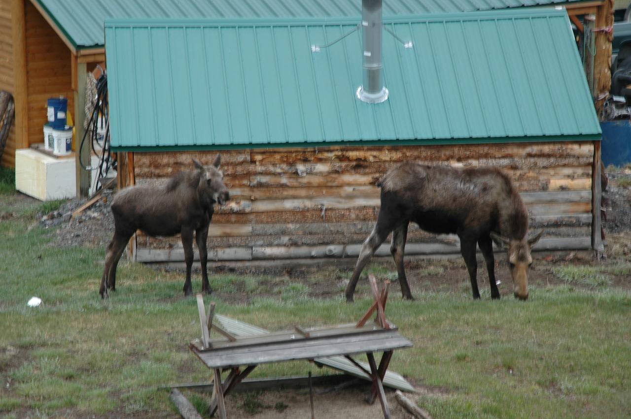 Lava Mountain Lodge Дубойз Екстер'єр фото